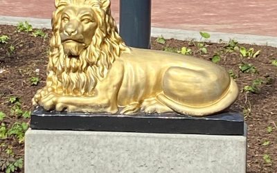 Gouden Leeuw weer terug